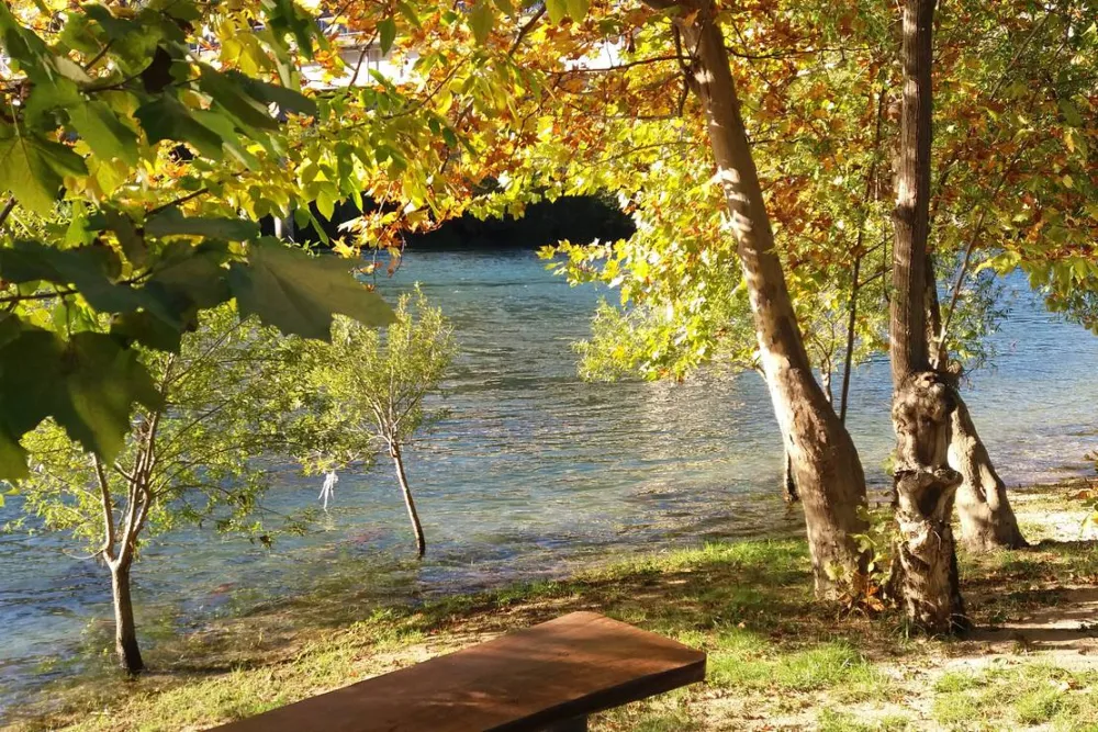 Auto Camp Green park