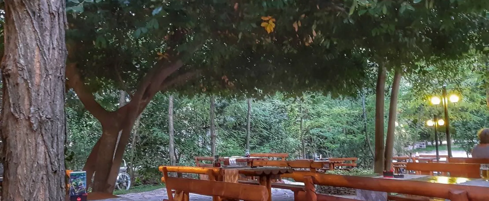 Auto Camp Green park