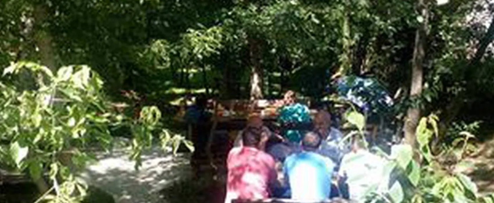 Auto Camp Green park