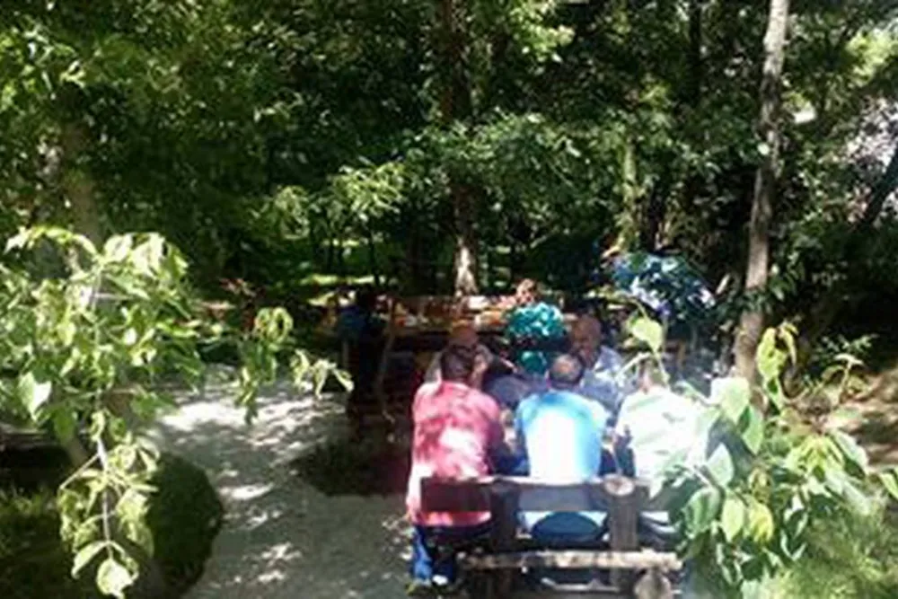 Auto Camp Green park