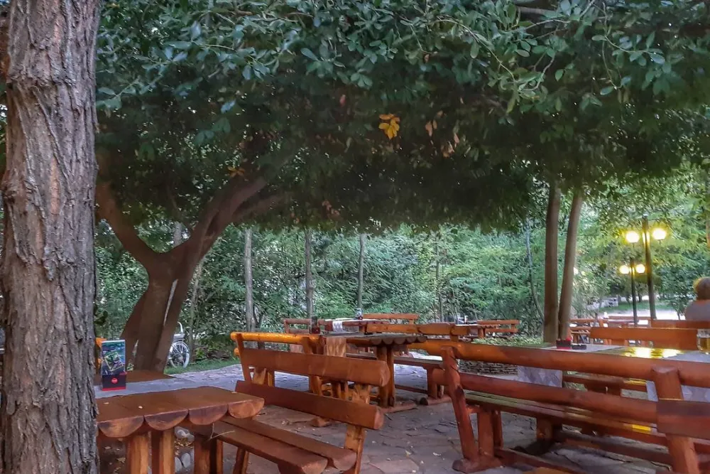 Auto Camp Green park