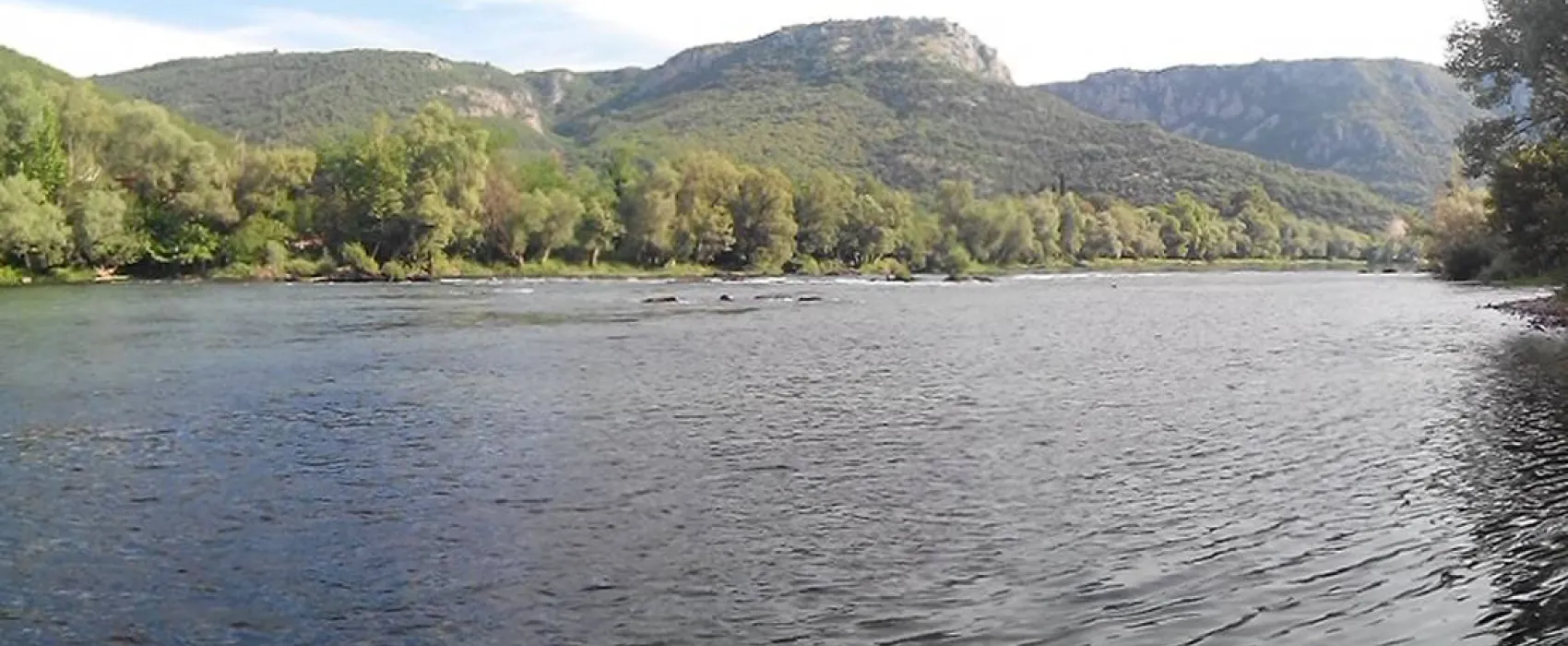 Auto Camp Green park