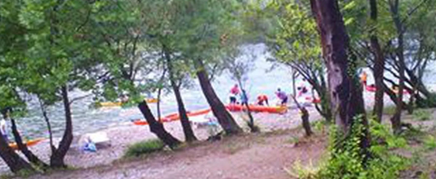 Auto Camp Green park