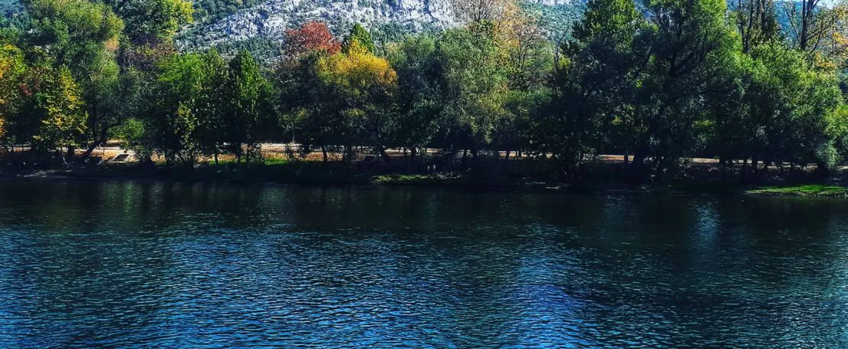 Auto Camp Green park