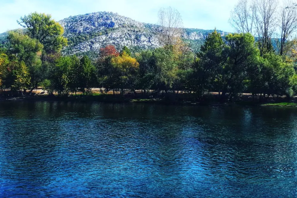 Auto Camp Green park