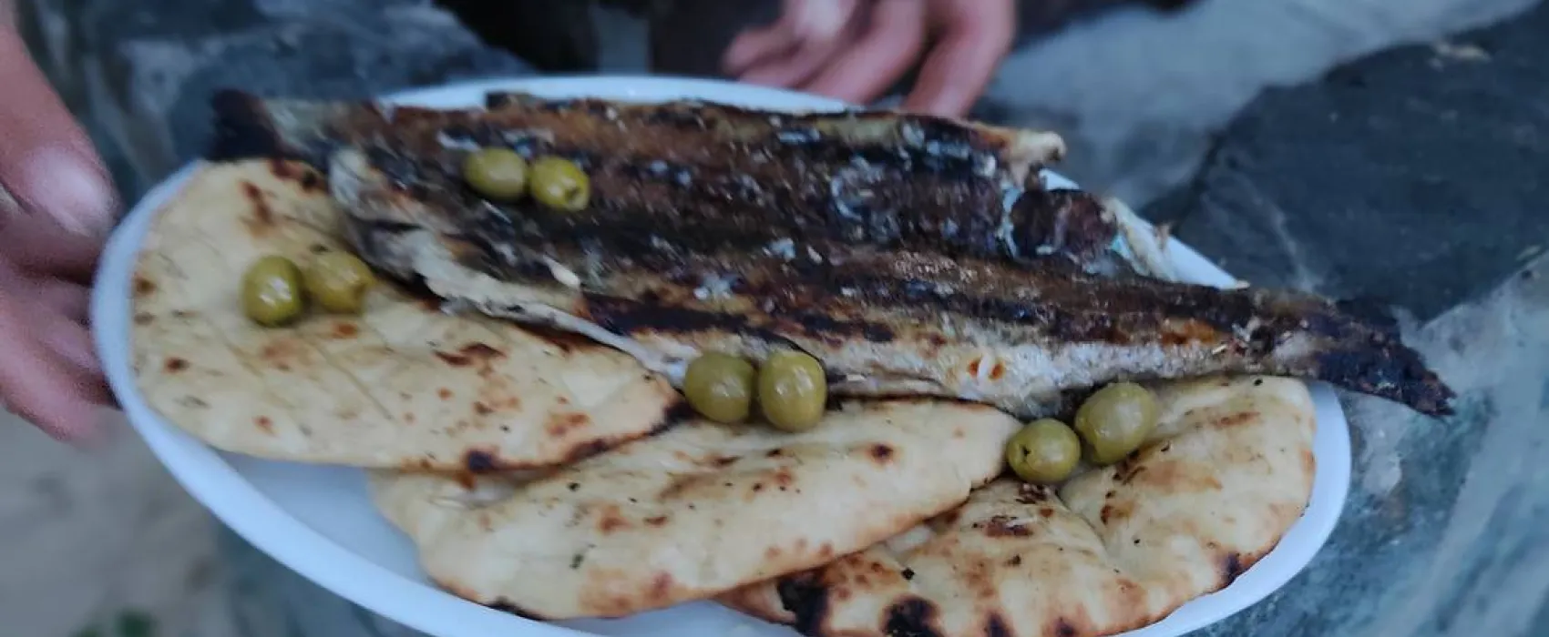 Auto Camp Green park