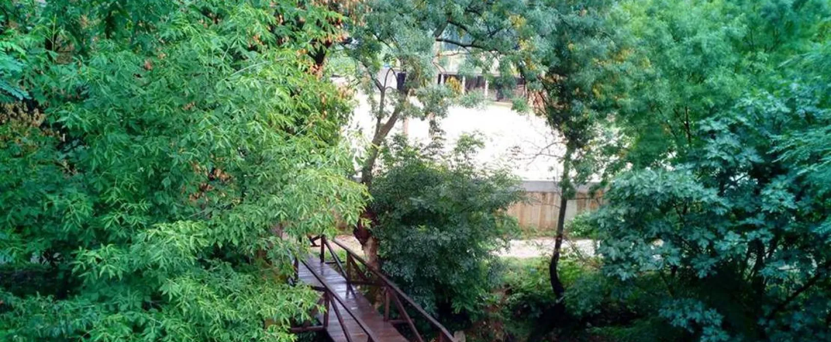 Auto Camp Green park