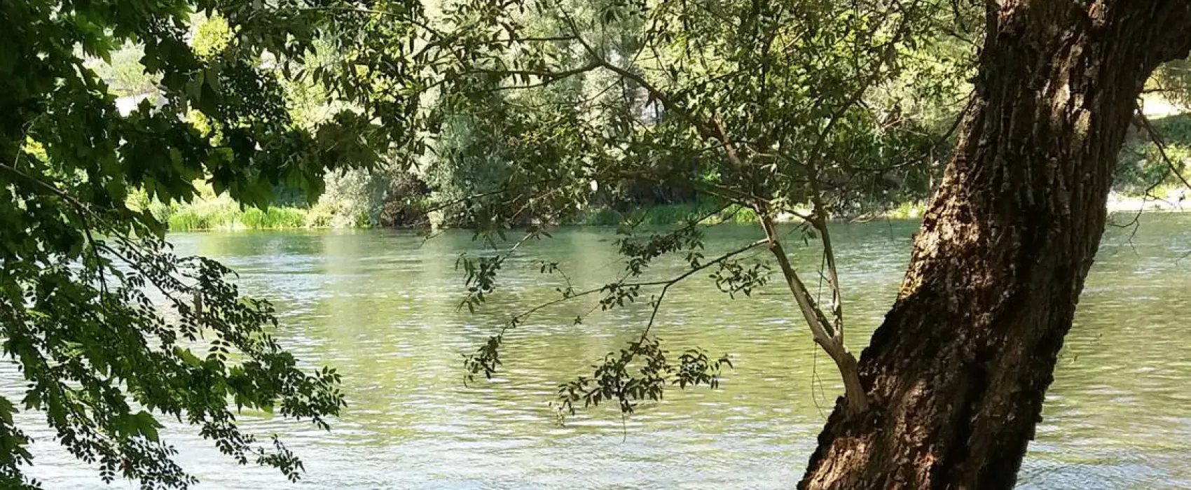 Auto Camp Green park