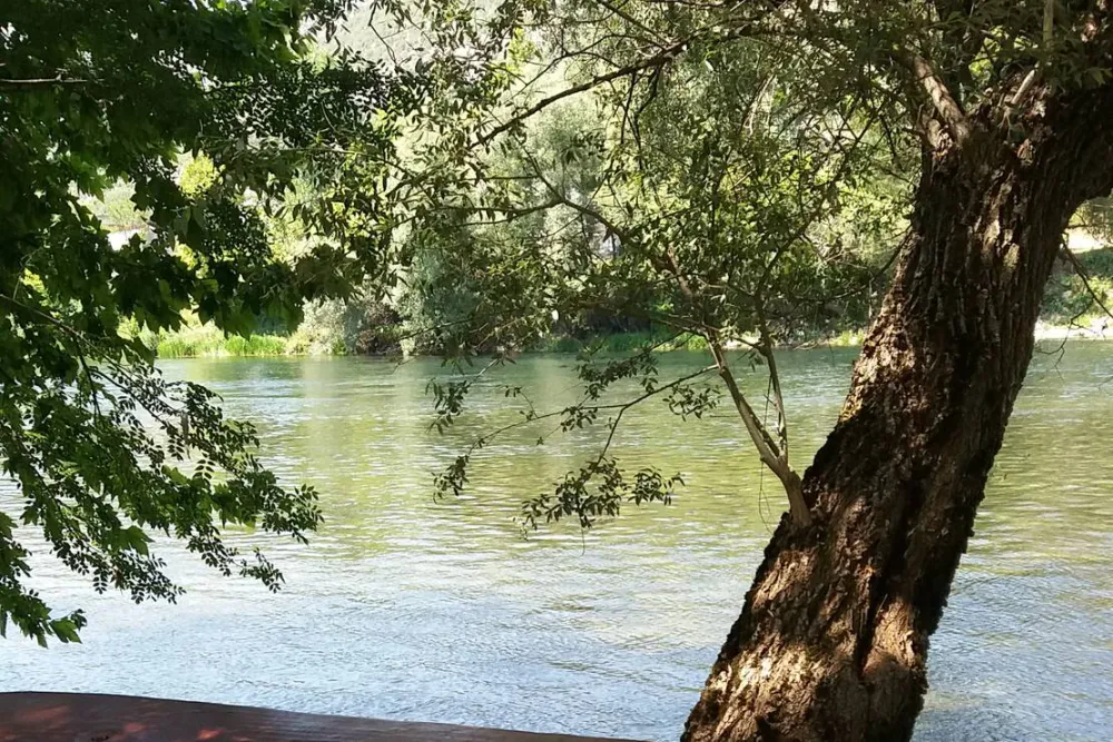 Auto Camp Green park