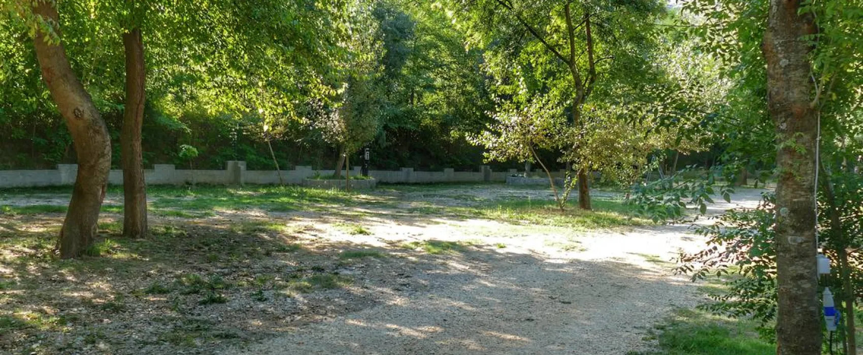 Auto Camp Green park