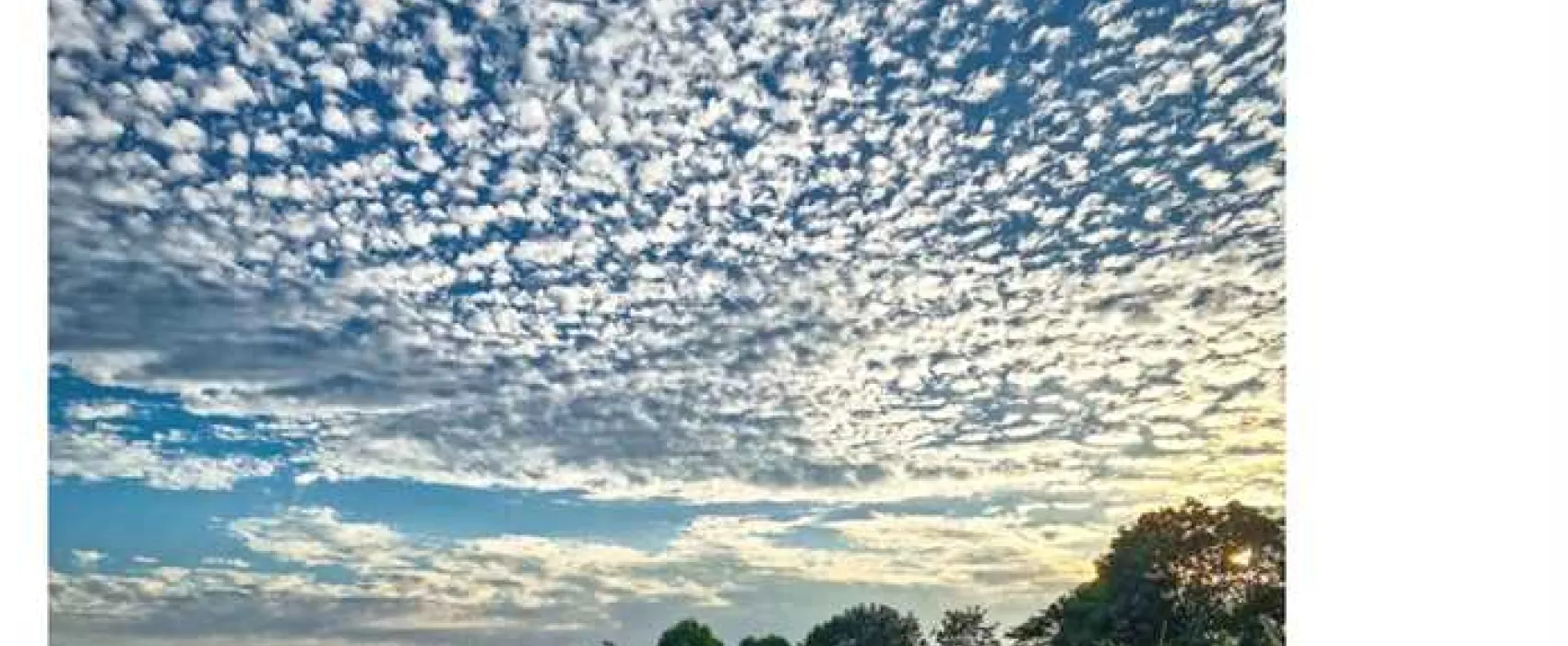 Shay Gate Farm Campsite