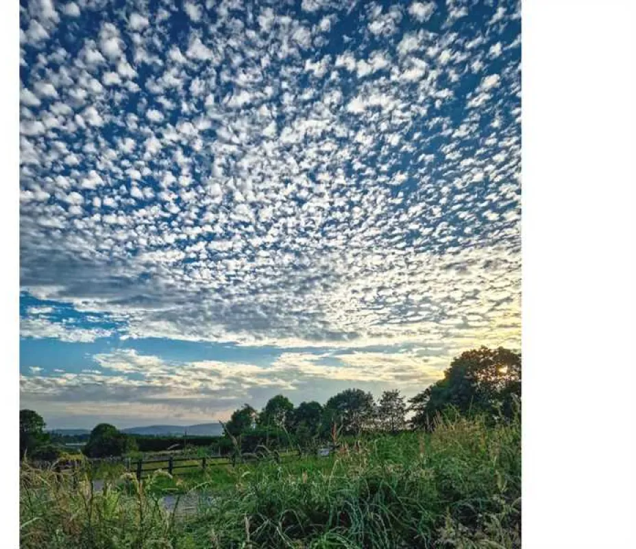 Shay Gate Farm Campsite