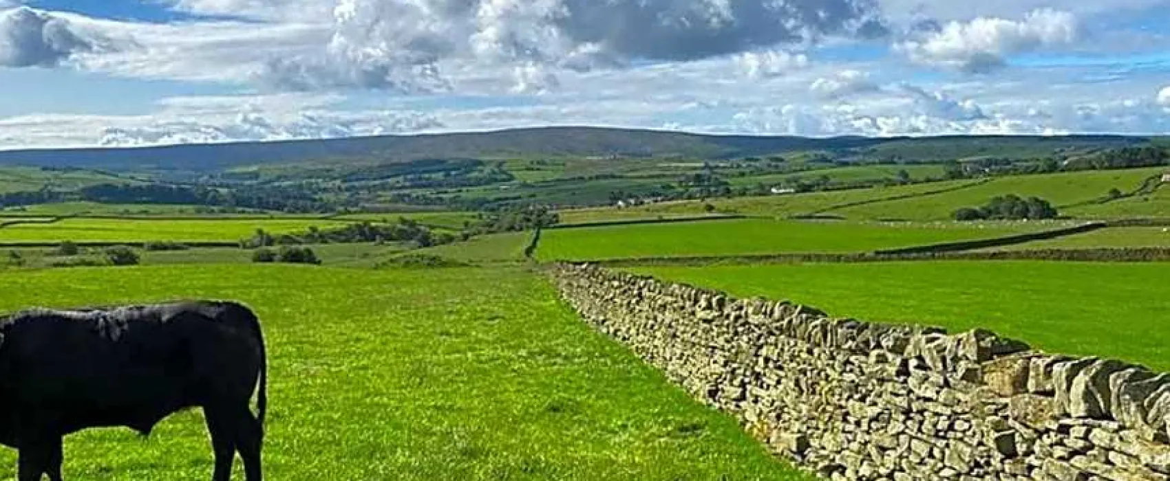Shay Gate Farm Campsite