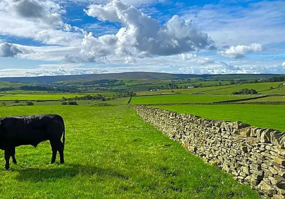 Shay Gate Farm Campsite