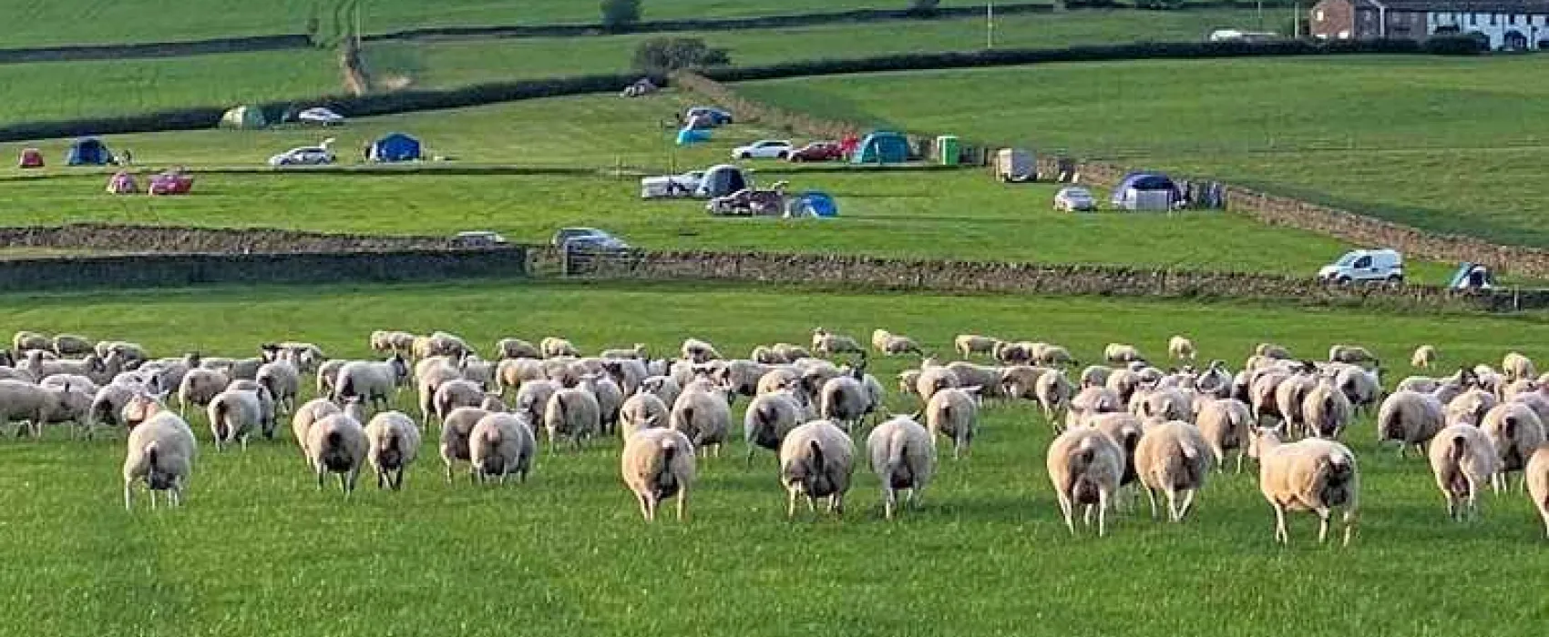 Shay Gate Farm Campsite