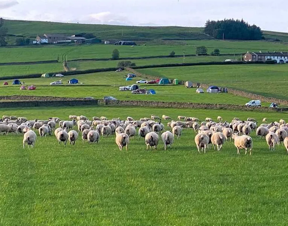 Shay Gate Farm Campsite