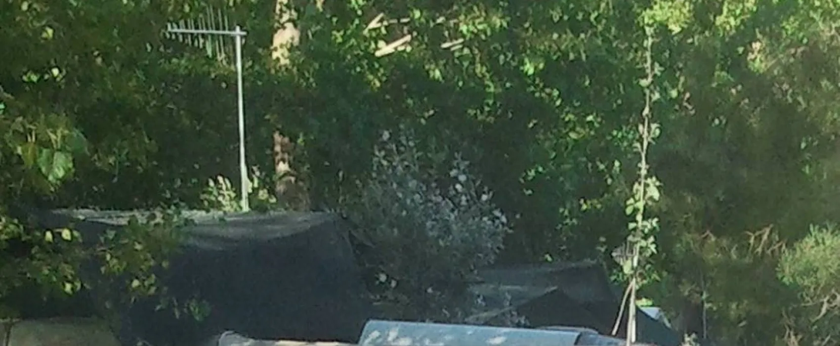 Camping Lago di Piediluco