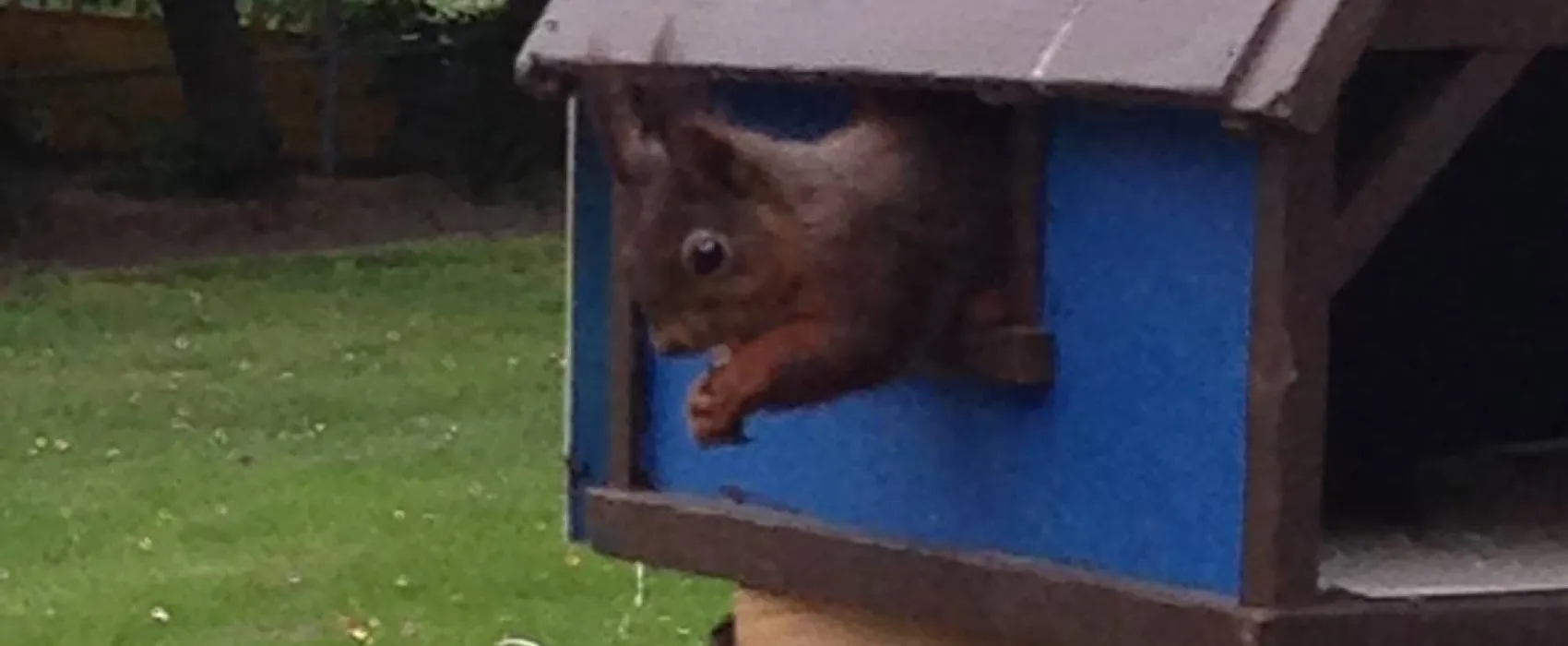 Camping Düsseldorf-Lörick