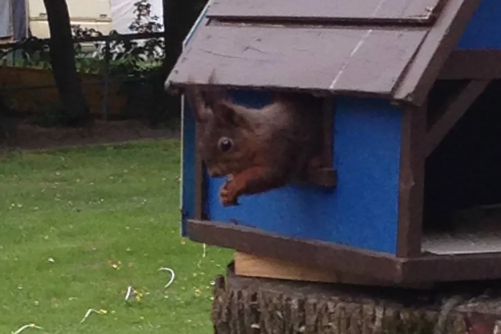 Camping Düsseldorf-Lörick