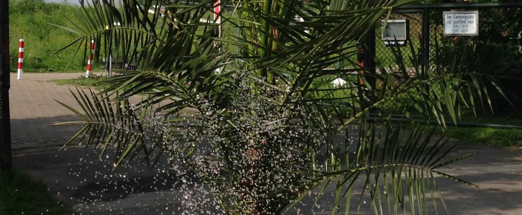 Camping Düsseldorf-Lörick