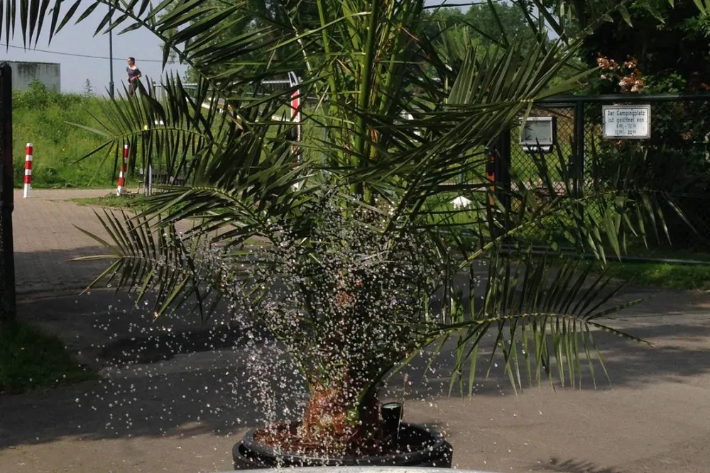 Camping Düsseldorf-Lörick