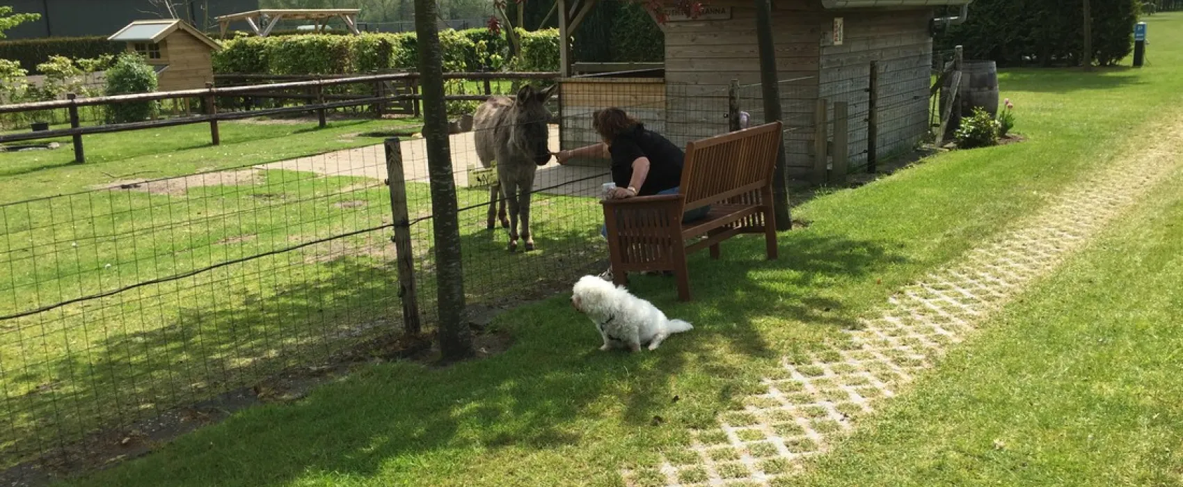 Minicamping Dun Ezel