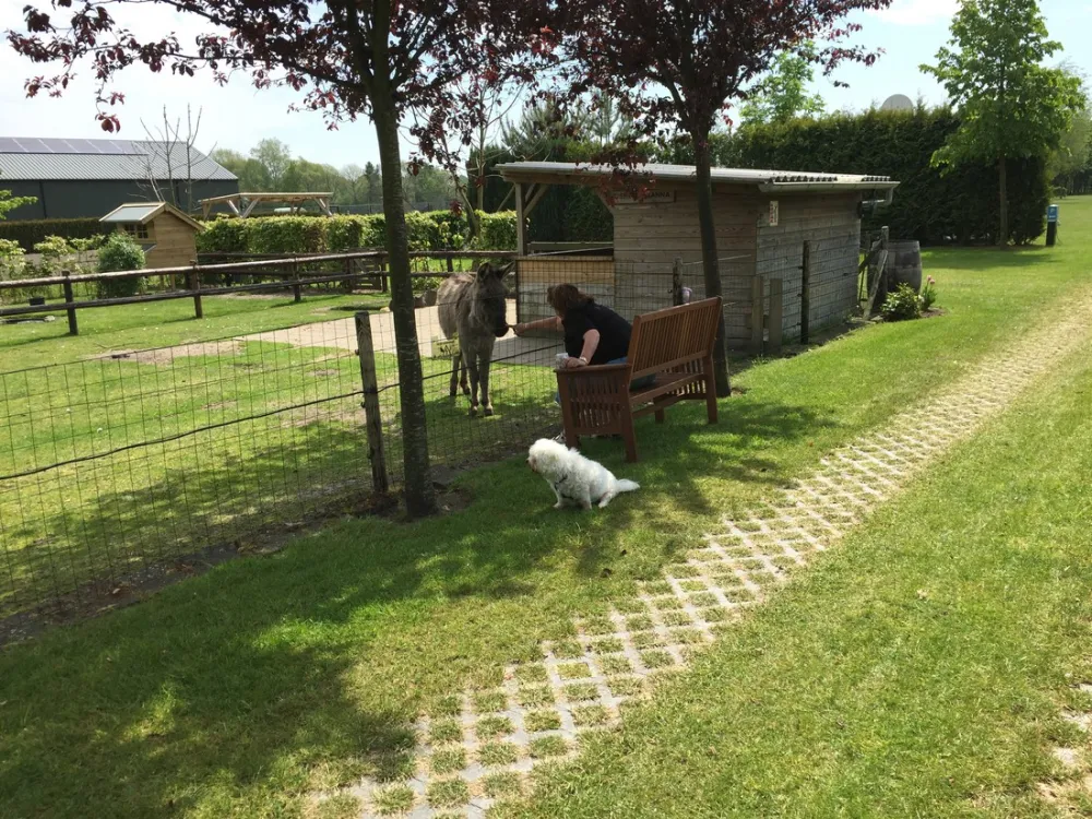 Minicamping Dun Ezel