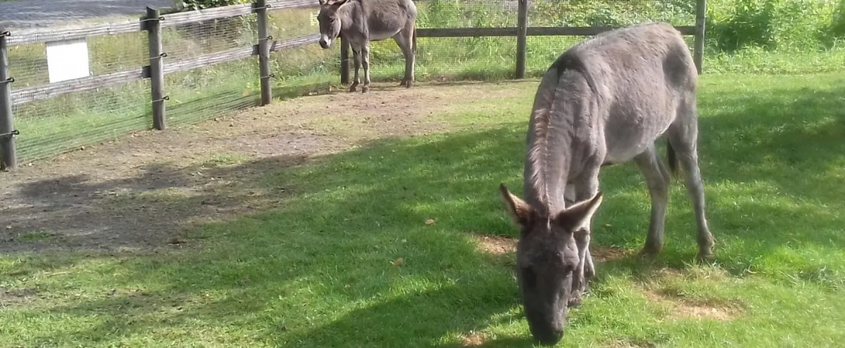 Minicamping Dun Ezel