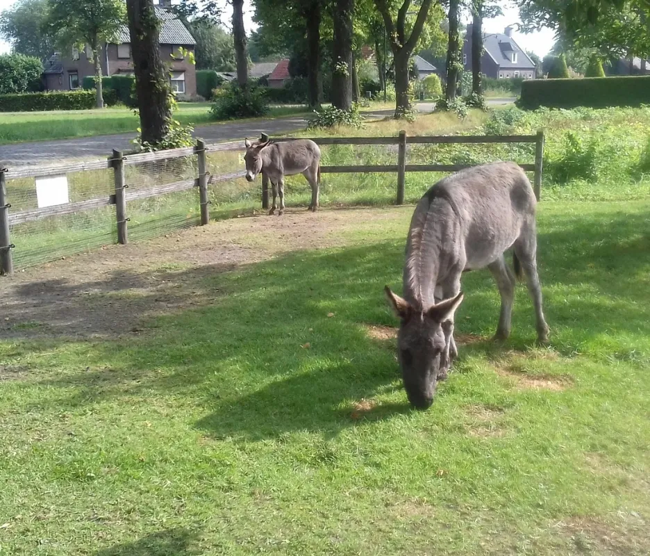 Minicamping Dun Ezel