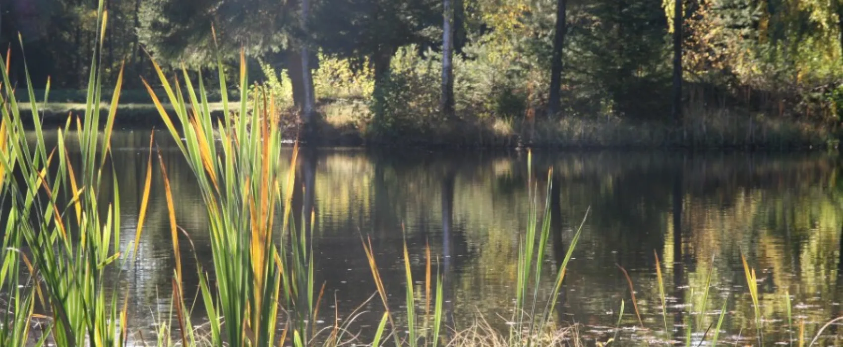 Månstorps Stugor och Sportfiske