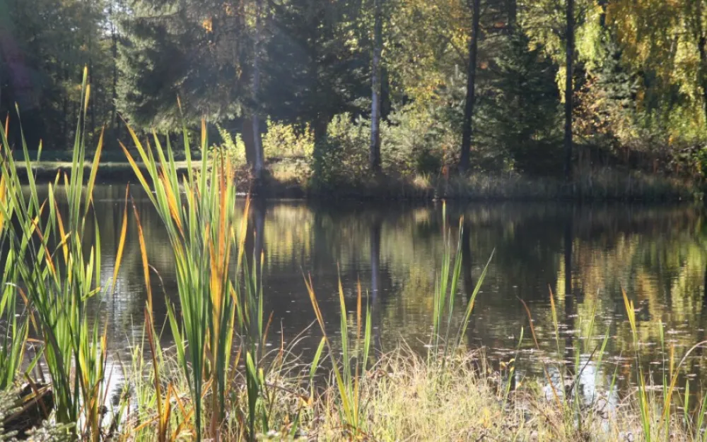 Månstorps Stugor och Sportfiske