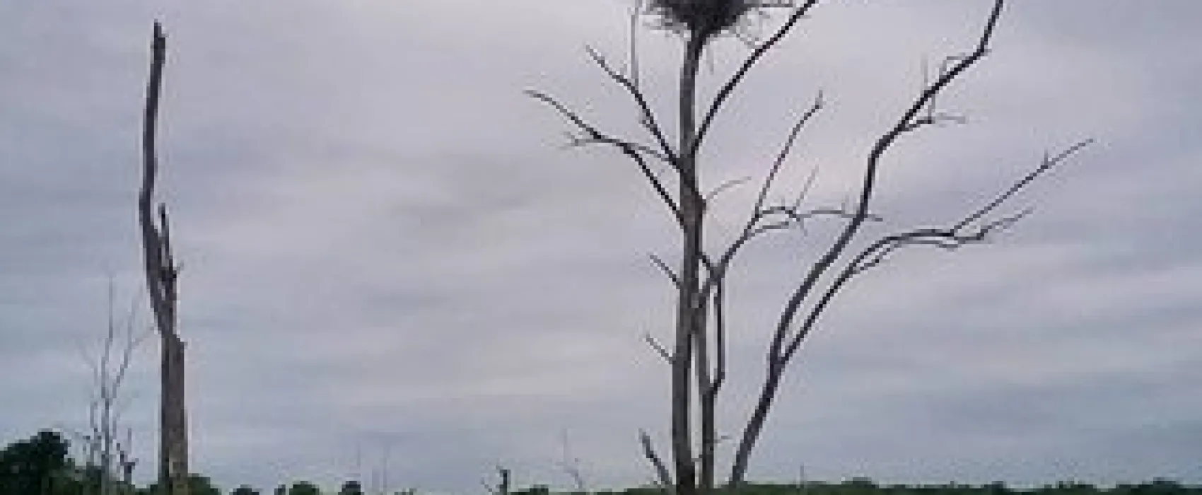 North Shore Landing RV Park