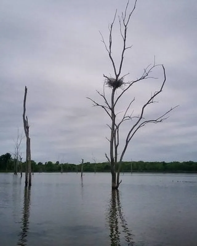 North Shore Landing RV Park