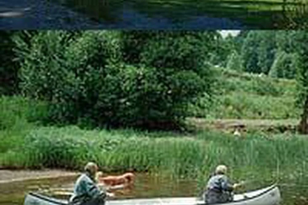 Radanefors Camping och Rum