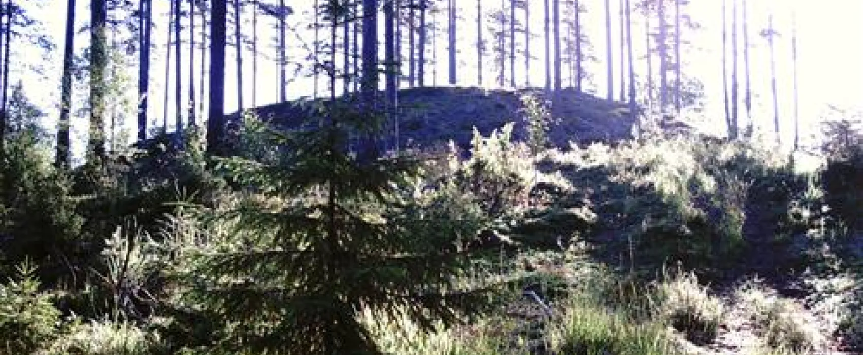 Treens Natur o Fiskecamp