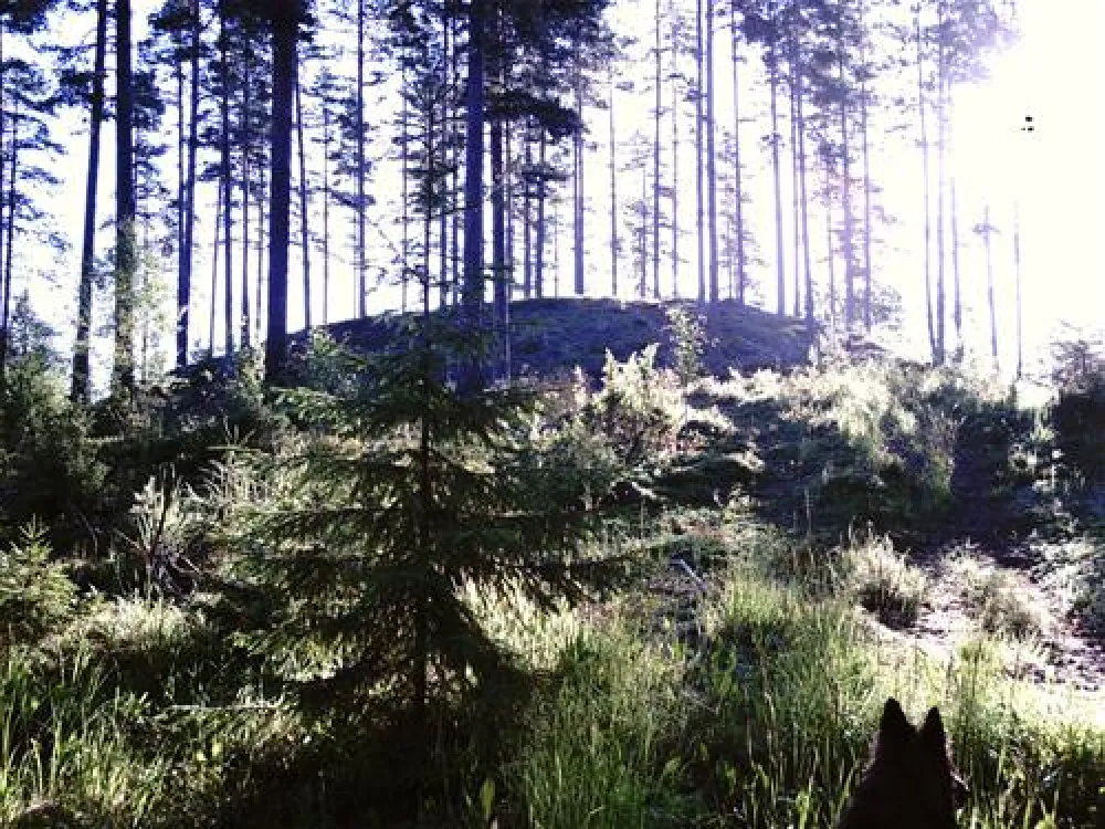 Treens Natur o Fiskecamp