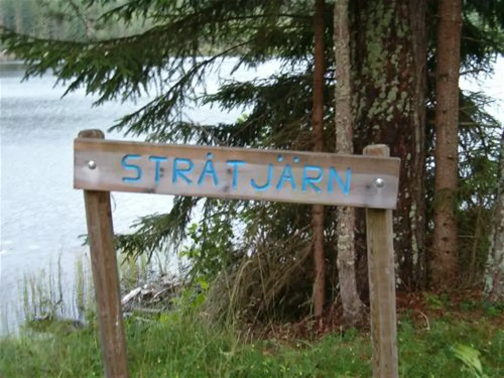 Treens Natur o Fiskecamp