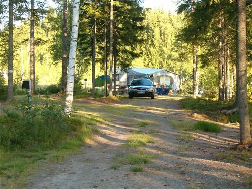 Treens Natur o Fiskecamp