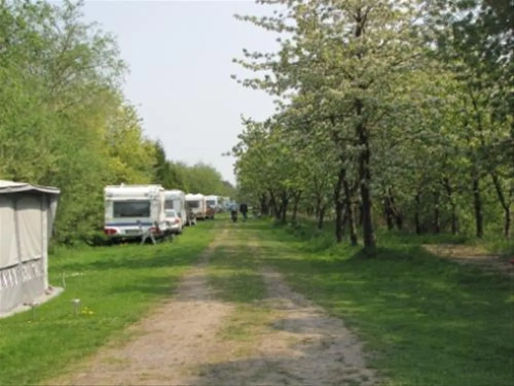 Camping Nesshof