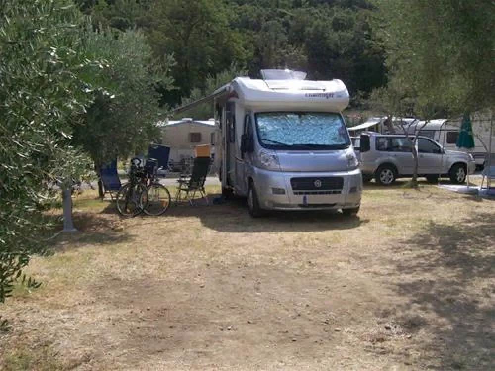 Camping Oliva