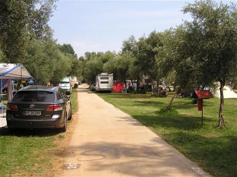 Camping Oliva