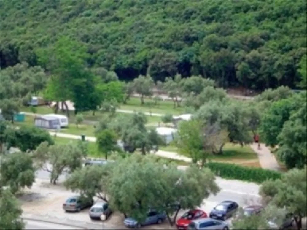 Camping Oliva