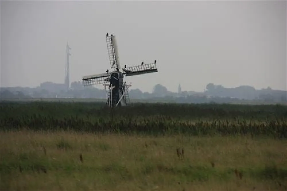 Texelcamping Loodsmansduin