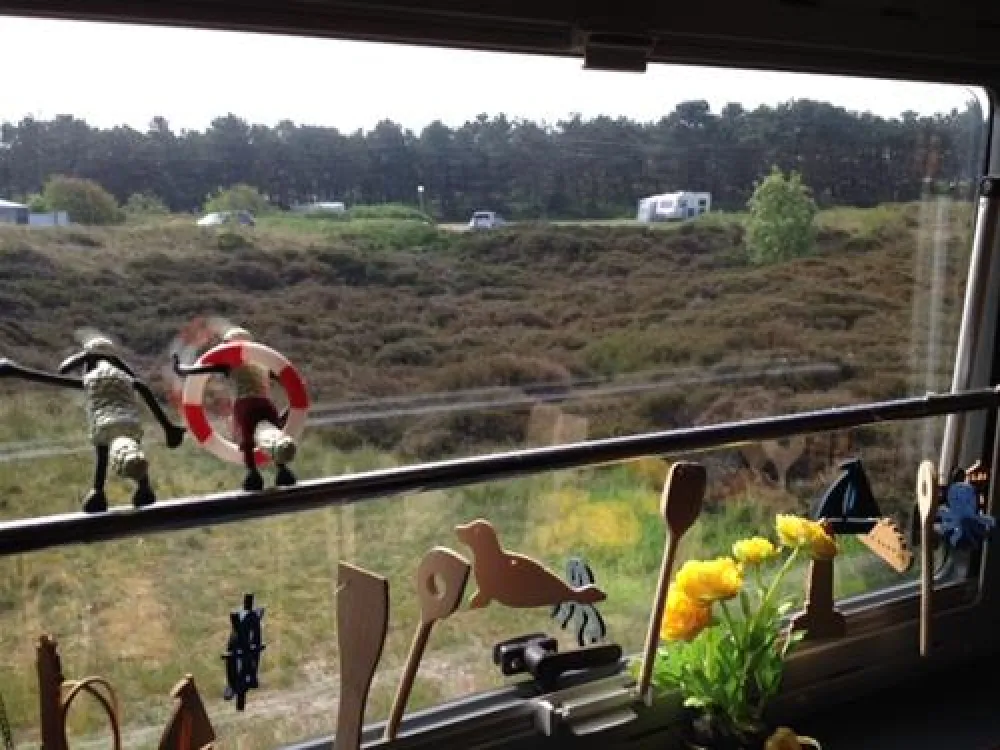 Texelcamping Loodsmansduin