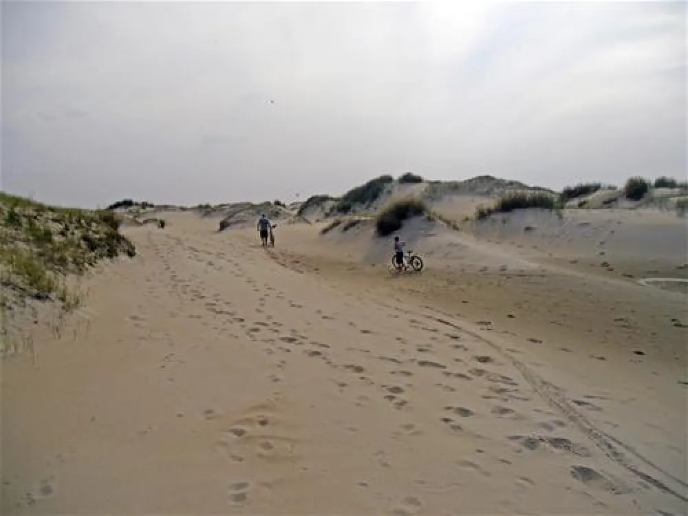 Texelcamping Loodsmansduin