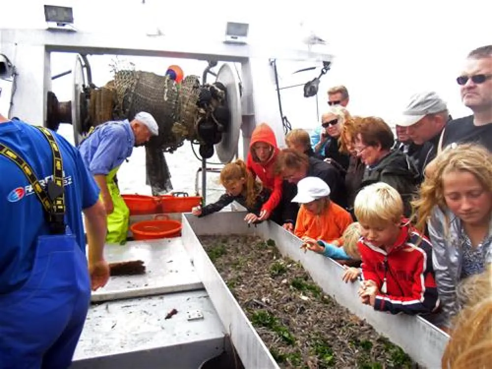 Texelcamping Loodsmansduin