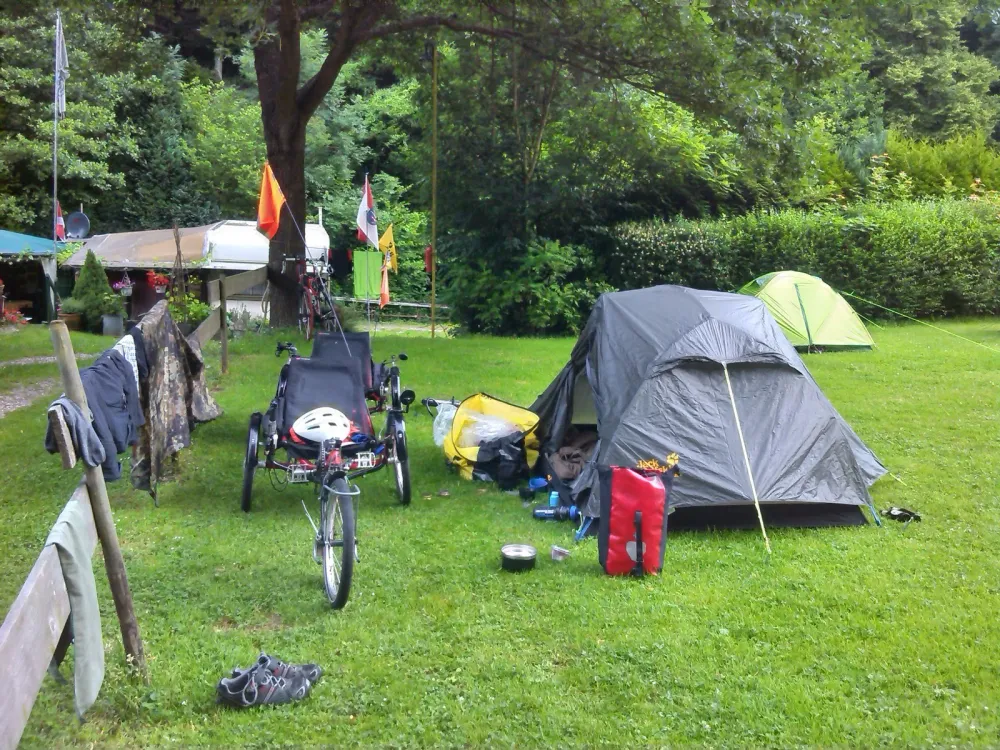 Camping Rheineck