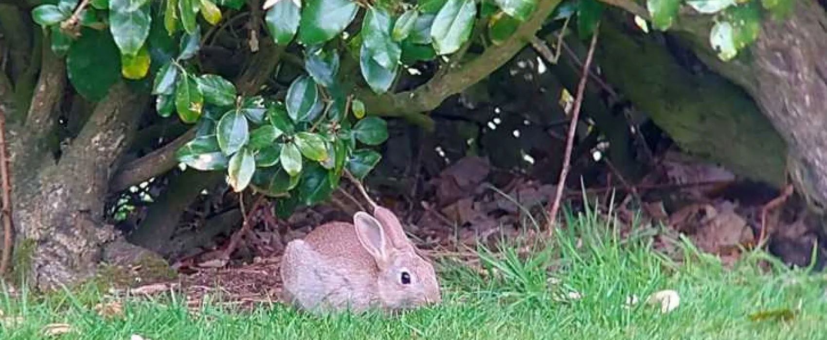 Cardinney Caravan and Camping Park