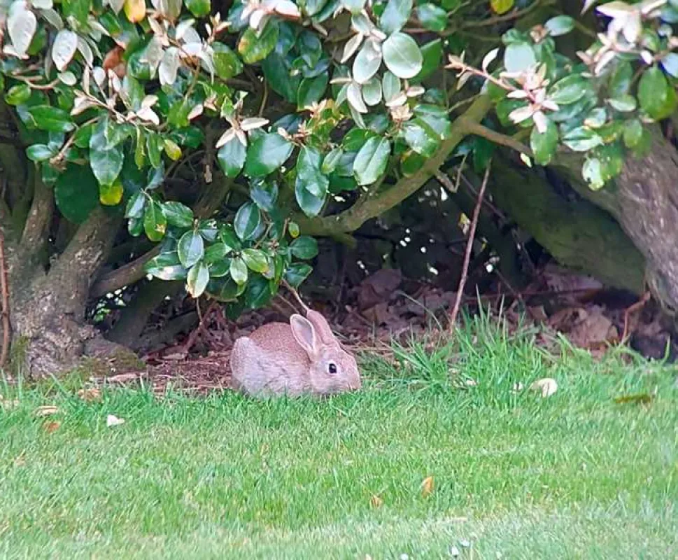Cardinney Caravan and Camping Park