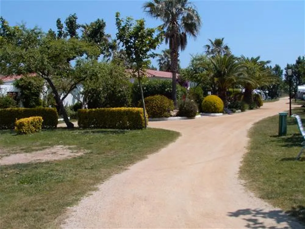 Las Palmeras - Costa Brava